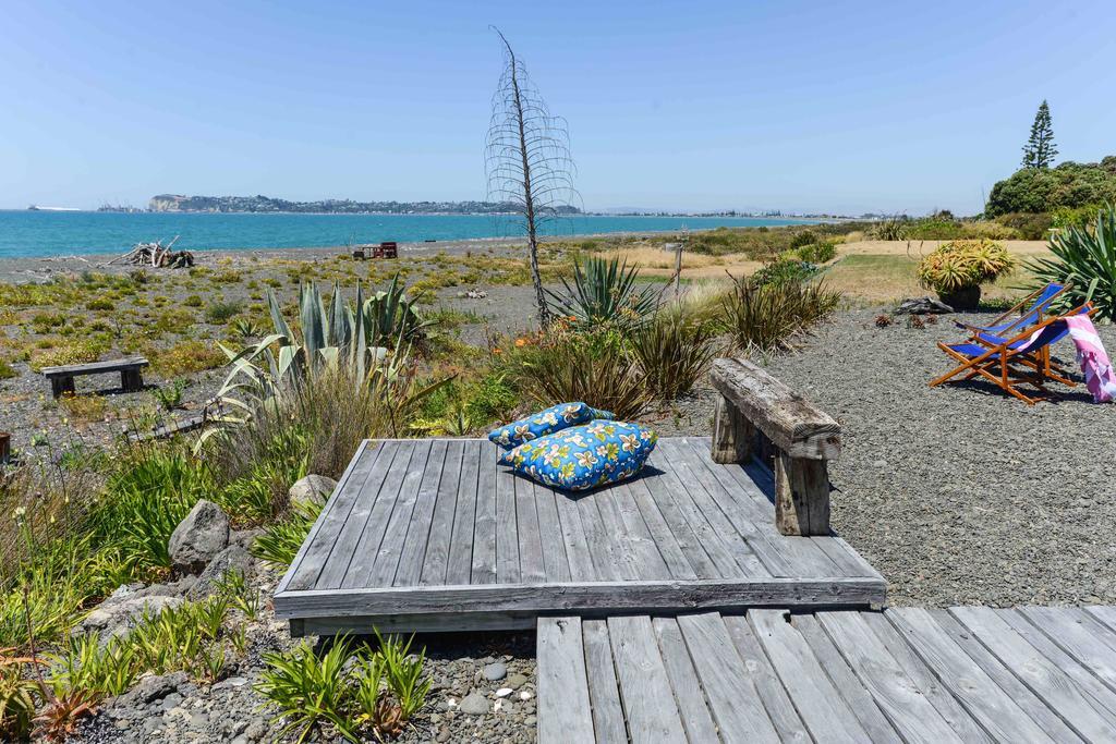 Absolute Beachfront B&B Napier Eksteriør billede